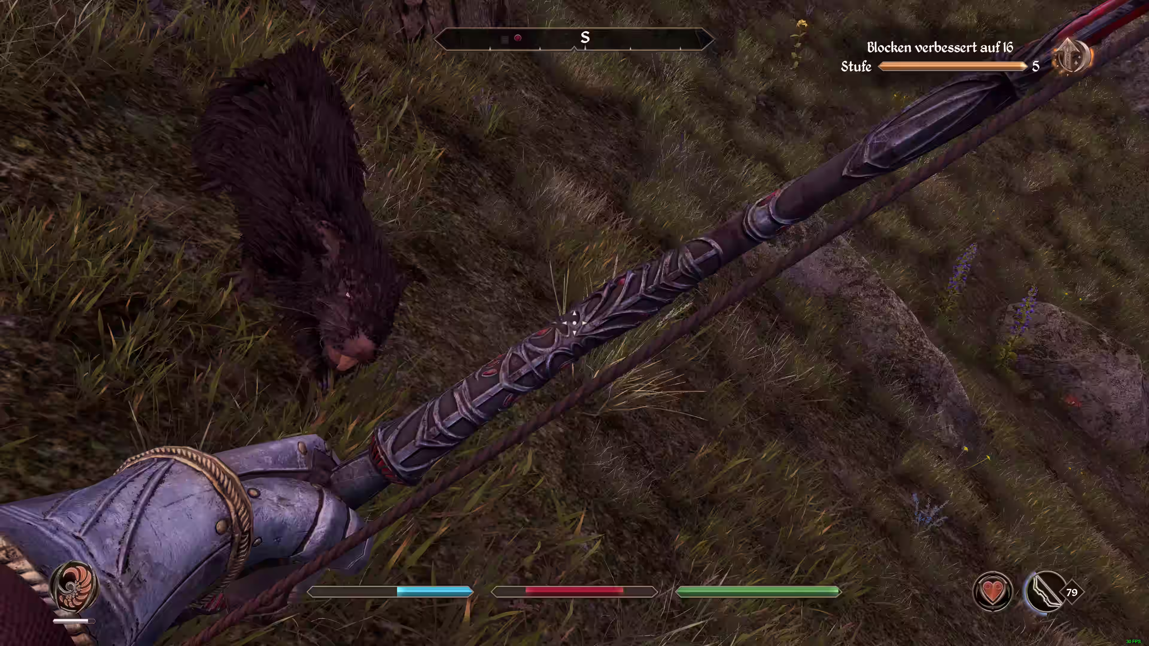 Blocken üben mit Ratten ^^ Bild: Blocken üben mit Ratten ^^